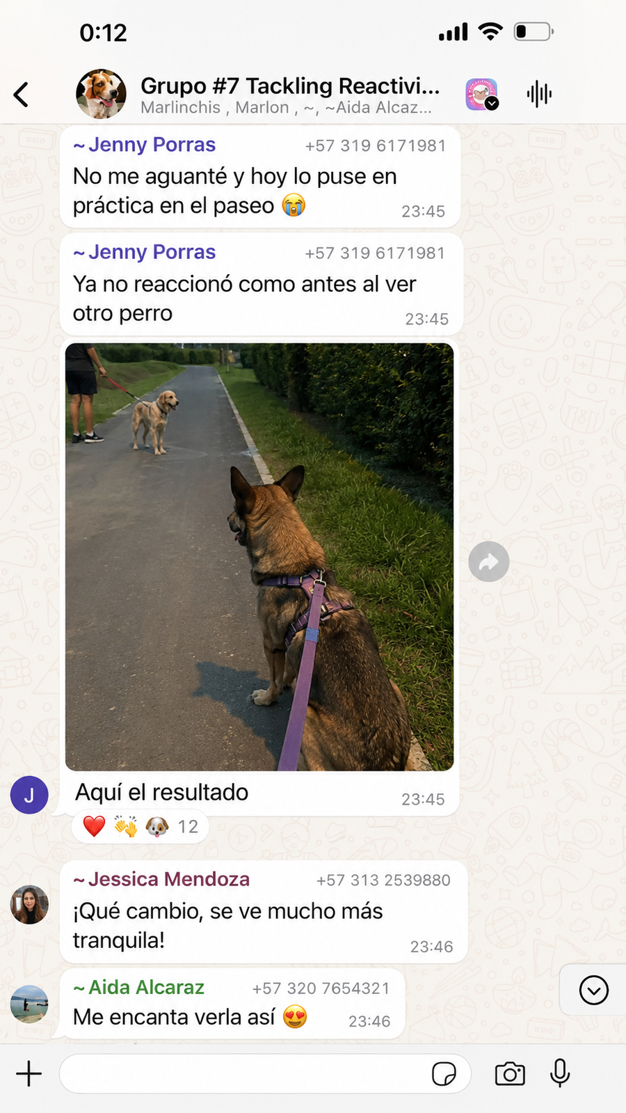 Captura o resultado de cliente del programa de reactividad canina