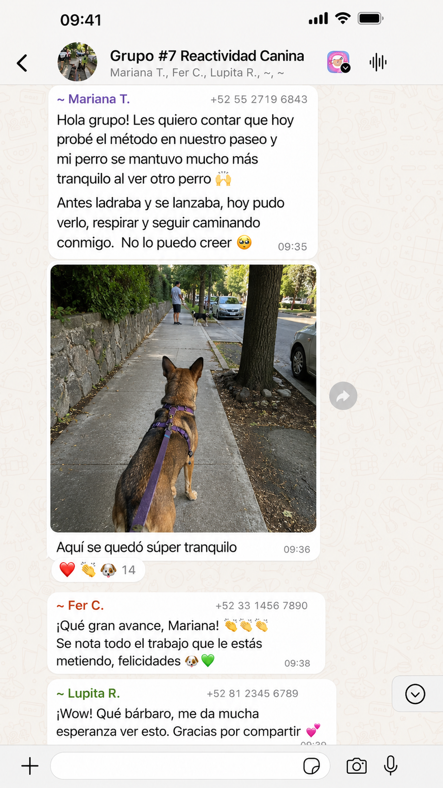 Captura o resultado de cliente del programa de reactividad canina