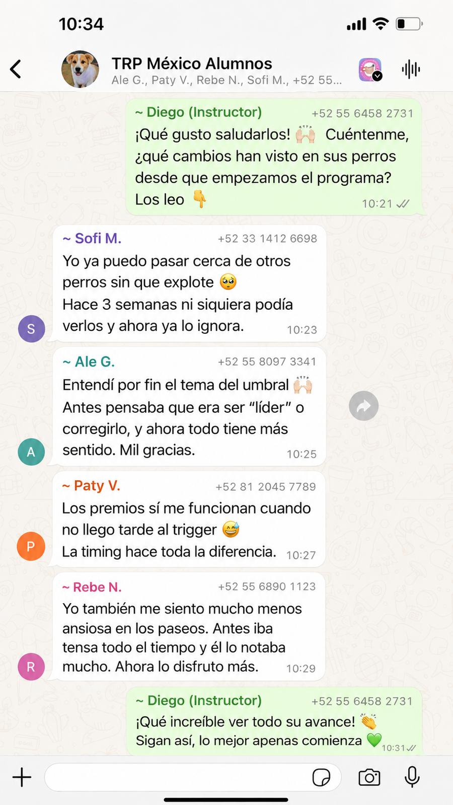 Captura o resultado de cliente del programa de reactividad canina